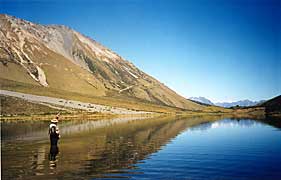 Australian Lake Scene