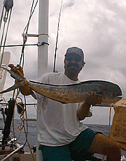 Jim S - Mahi Mahi