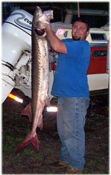 Danny's 62 inch sturgeon