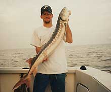 Sean's Sturgeon