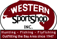 wss logo